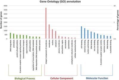 De novo Assembly of the Brain Coral Platygyra sinensis Genome